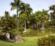 Punta Cana