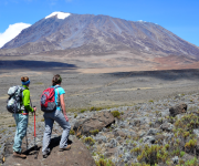 Kilimanjaro